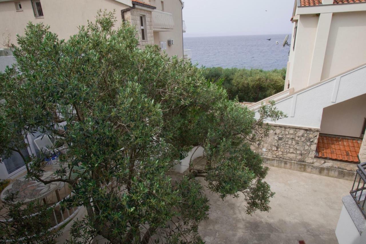Apartments Delfin Tučepi المظهر الخارجي الصورة